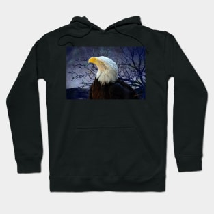 Stand Proud and Believe Hoodie